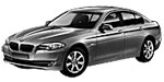 BMW F10 P3011 Fault Code